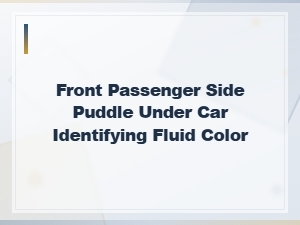 Front Passenger Side Puddle Under Car Identifying Fluid Color