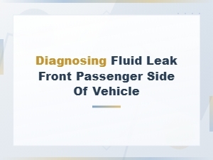 How to Diagnose a Fluid Leak on the Front Passenger Side of Your Vehicle